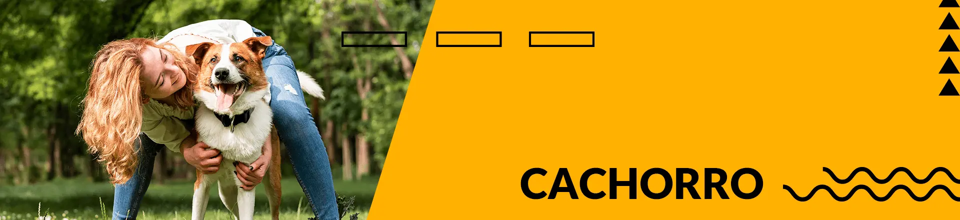 Banner Categoria Cães